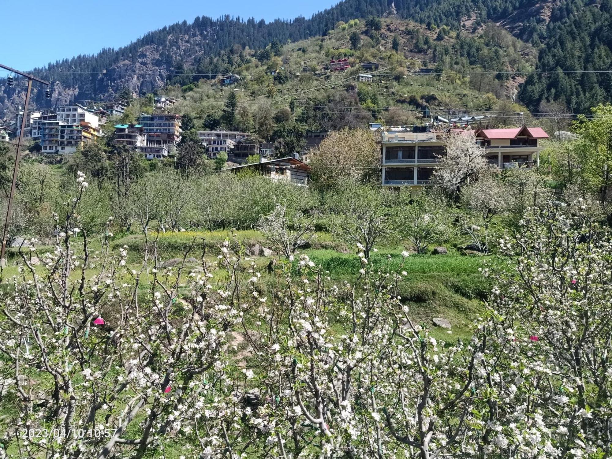 Lotus Retreat Villa Manāli Екстериор снимка
